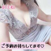 ヒメ日記 2026/03/15 05:02 投稿 あまね 桃李（とうり）