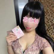 ヒメ日記 2026/03/17 07:22 投稿 あまね 桃李（とうり）