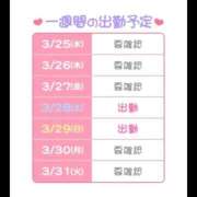 ヒメ日記 2026/03/25 07:42 投稿 あまね 桃李（とうり）