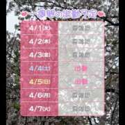 ヒメ日記 2026/04/01 08:02 投稿 あまね 桃李（とうり）