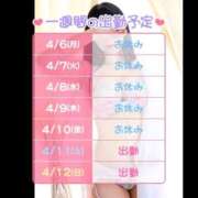 ヒメ日記 2026/04/06 12:32 投稿 あまね 桃李（とうり）