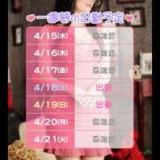 ヒメ日記 2026/04/15 07:32 投稿 あまね 桃李（とうり）