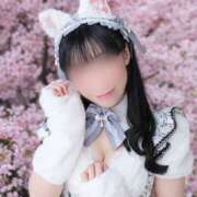 ヒメ日記 2026/04/16 07:57 投稿 あまね 桃李（とうり）