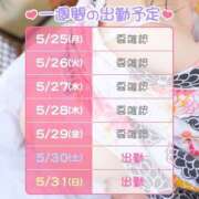 ヒメ日記 2026/05/25 22:32 投稿 あまね 桃李（とうり）