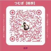 ヒメ日記 2026/03/13 12:12 投稿 つむぎ 桃李（とうり）