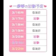 ヒメ日記 2026/03/16 16:22 投稿 つむぎ 桃李（とうり）