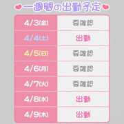 ヒメ日記 2026/04/03 12:04 投稿 つむぎ 桃李（とうり）