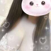 ヒメ日記 2026/04/08 14:52 投稿 つむぎ 桃李（とうり）