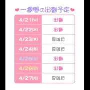 ヒメ日記 2026/04/21 10:42 投稿 つむぎ 桃李（とうり）