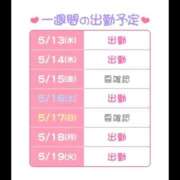 ヒメ日記 2026/05/13 11:32 投稿 つむぎ 桃李（とうり）