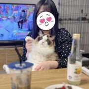 みなみ お久しぶりです🐱 桃李（とうり）