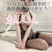 ヒメ日記 2026/03/11 14:12 投稿 しのぶ 桃李（とうり）