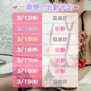 ヒメ日記 2026/03/13 11:02 投稿 しのぶ 桃李（とうり）