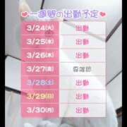 ヒメ日記 2026/03/24 07:42 投稿 しのぶ 桃李（とうり）