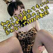 ヒメ日記 2026/03/25 03:02 投稿 しのぶ 桃李（とうり）