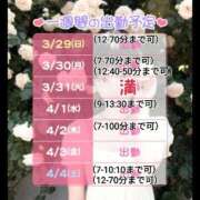 ヒメ日記 2026/03/29 02:52 投稿 しのぶ 桃李（とうり）