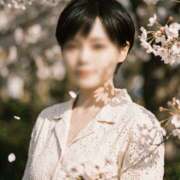 ヒメ日記 2026/03/29 17:22 投稿 しのぶ 桃李（とうり）