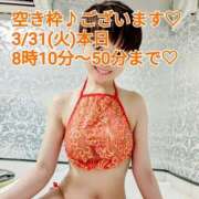 ヒメ日記 2026/03/31 03:02 投稿 しのぶ 桃李（とうり）