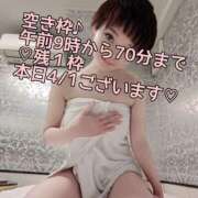 ヒメ日記 2026/04/01 03:02 投稿 しのぶ 桃李（とうり）