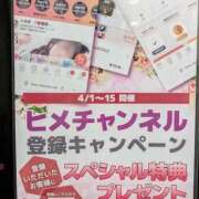 ヒメ日記 2026/04/01 06:02 投稿 しのぶ 桃李（とうり）