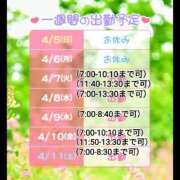 ヒメ日記 2026/04/05 20:12 投稿 しのぶ 桃李（とうり）