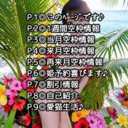 ヒメ日記 2026/04/08 12:03 投稿 しのぶ 桃李（とうり）