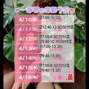 ヒメ日記 2026/04/10 06:22 投稿 しのぶ 桃李（とうり）