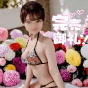 ヒメ日記 2026/04/10 09:42 投稿 しのぶ 桃李（とうり）