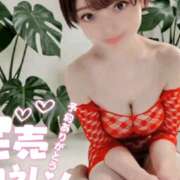 ヒメ日記 2026/04/13 09:42 投稿 しのぶ 桃李（とうり）