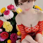 ヒメ日記 2026/04/16 18:52 投稿 しのぶ 桃李（とうり）