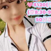 ヒメ日記 2026/04/20 03:12 投稿 しのぶ 桃李（とうり）