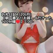 ヒメ日記 2026/04/21 13:02 投稿 しのぶ 桃李（とうり）