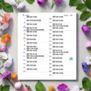 ヒメ日記 2026/04/21 19:22 投稿 しのぶ 桃李（とうり）