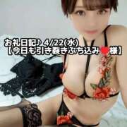 ヒメ日記 2026/04/22 20:32 投稿 しのぶ 桃李（とうり）