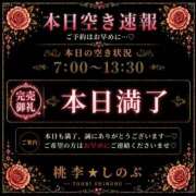 ヒメ日記 2026/04/27 03:12 投稿 しのぶ 桃李（とうり）