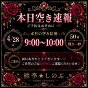 ヒメ日記 2026/04/28 05:42 投稿 しのぶ 桃李（とうり）
