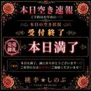 ヒメ日記 2026/04/28 15:02 投稿 しのぶ 桃李（とうり）