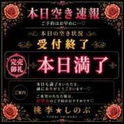 ヒメ日記 2026/04/29 02:32 投稿 しのぶ 桃李（とうり）