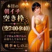 ヒメ日記 2026/05/06 03:12 投稿 しのぶ 桃李（とうり）