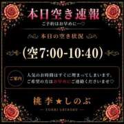 ヒメ日記 2026/05/09 05:52 投稿 しのぶ 桃李（とうり）