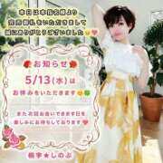 ヒメ日記 2026/05/12 21:12 投稿 しのぶ 桃李（とうり）