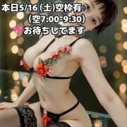 ヒメ日記 2026/05/16 03:02 投稿 しのぶ 桃李（とうり）