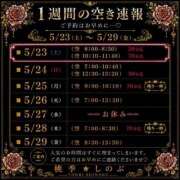 ヒメ日記 2026/05/22 20:22 投稿 しのぶ 桃李（とうり）