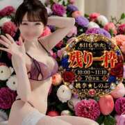 ヒメ日記 2026/06/09 03:02 投稿 しのぶ 桃李（とうり）