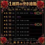 ヒメ日記 2026/06/10 03:22 投稿 しのぶ 桃李（とうり）