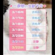 ヒメ日記 2026/03/16 09:32 投稿 すみれ 桃李（とうり）