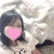 ヒメ日記 2026/03/17 21:02 投稿 すみれ 桃李（とうり）