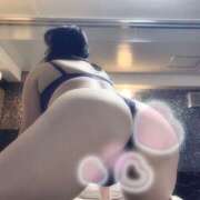 ヒメ日記 2026/03/18 05:40 投稿 すみれ 桃李（とうり）