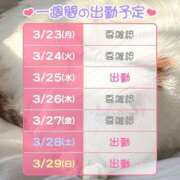 ヒメ日記 2026/03/23 08:12 投稿 すみれ 桃李（とうり）