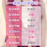 ヒメ日記 2026/03/24 09:12 投稿 すみれ 桃李（とうり）